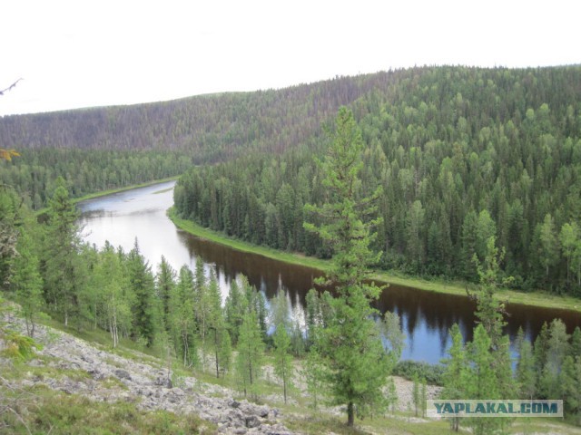 Сибирь 2015