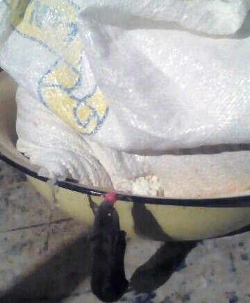 Лизнуть железо на морозе