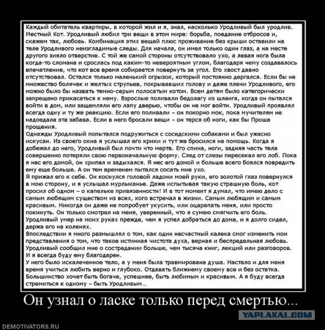 Картинки разные с интернету