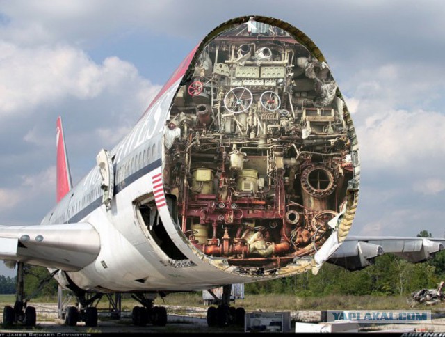 Авиакурьезы и просто необычные фото