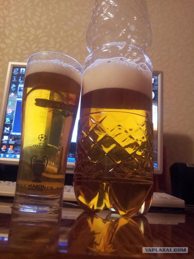 Утомленные икрой: какая она, жизнь на Камчатке?