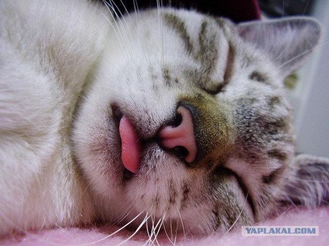 Подборка красивых картинок