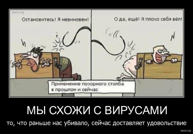 Картинки из сети