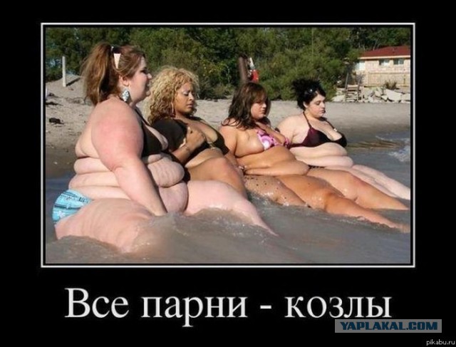 О вреде алкоголя или чего вам, мужикам надо?