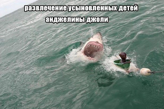 Очень, очень злой юмор. УжОс