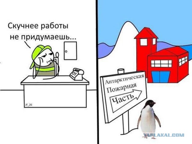Подборка смешных картинок