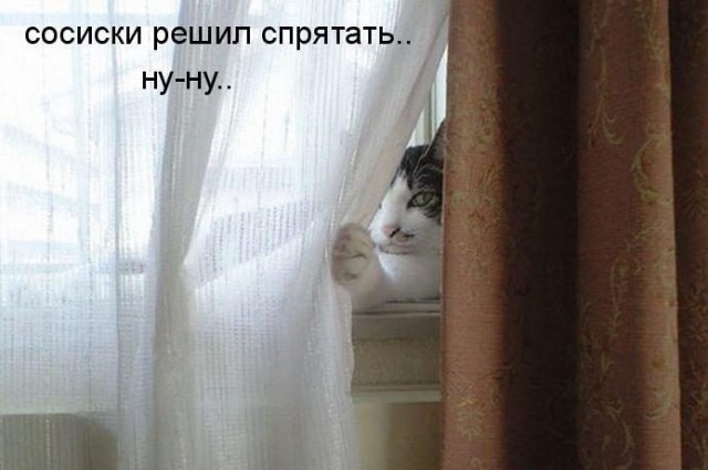 Картинки с сети