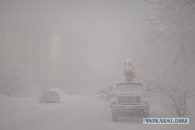 Сургут в -50 в картинках.