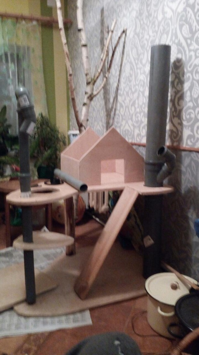 Коттедж своими руками, или про довольную котейку.