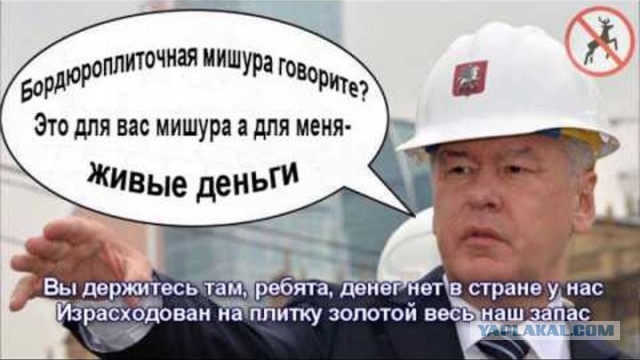 Черная неблагодарность. Почему москвичи так и не полюбили Собянина