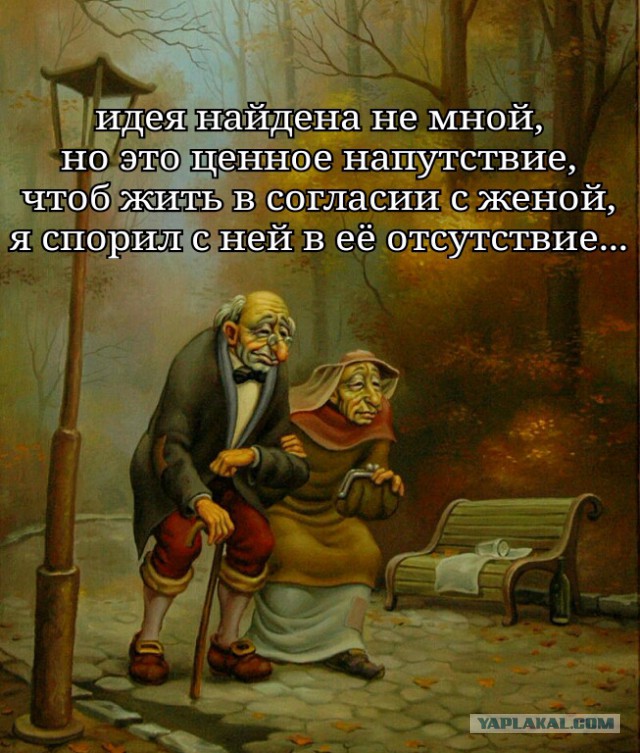 Вечерний сарказм