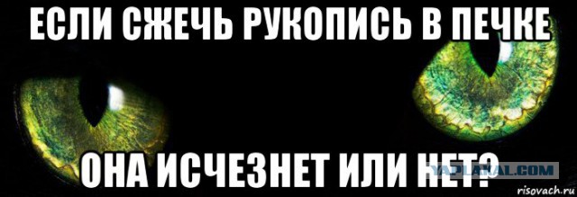 Кошка Шрёдингера.