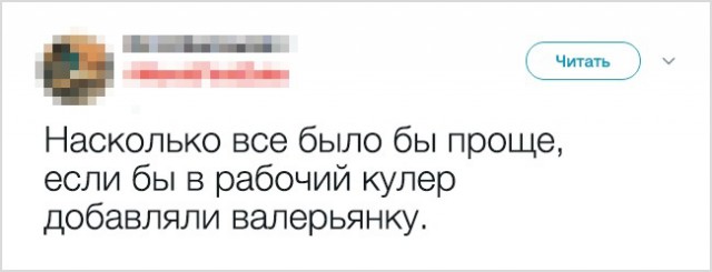 Доказательства того, что взрослая жизнь — настоящий аттракцион безумия