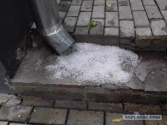 Подборка картинок с личного мобильного