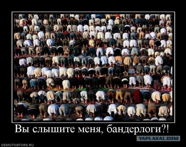 Я же матери, я же отцы и их личинки, или как мы ходили в ЗООПАРК