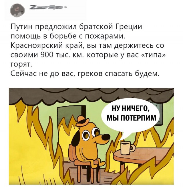 Немного картинок в эту субботу