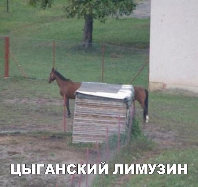 Прикольные картинки абавсём