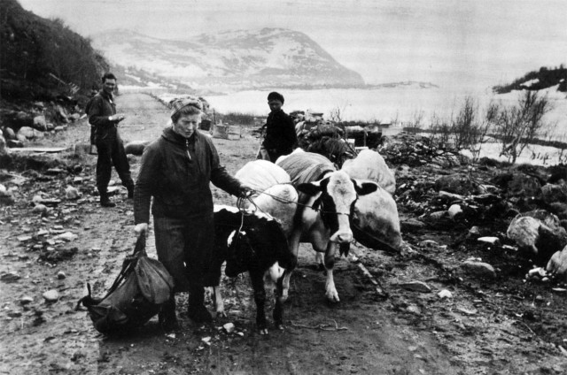 7.10.44. началась Петсамо-Киркенесская операция.