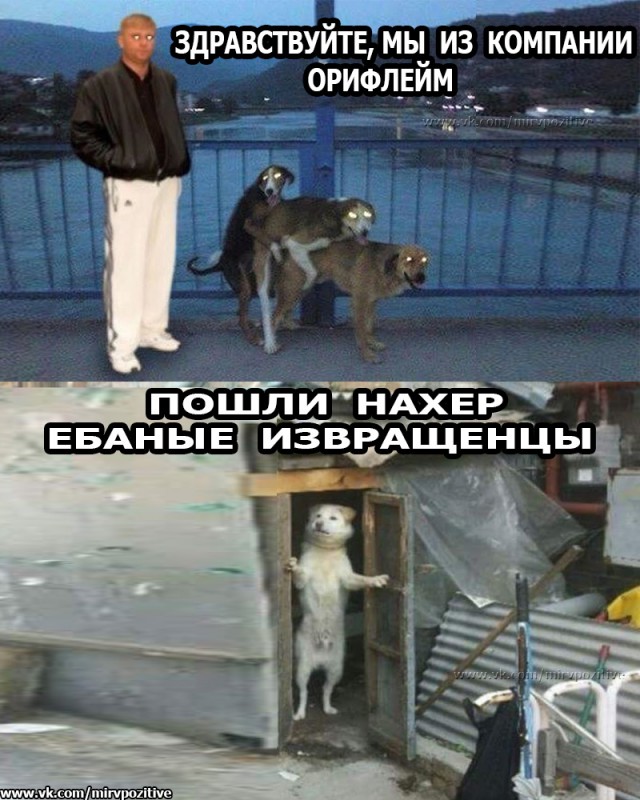 Дай дураку лобзик