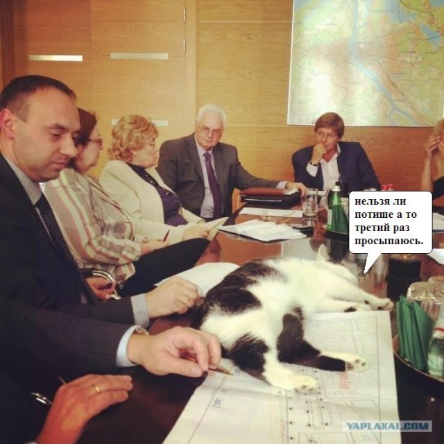 Скучные вы