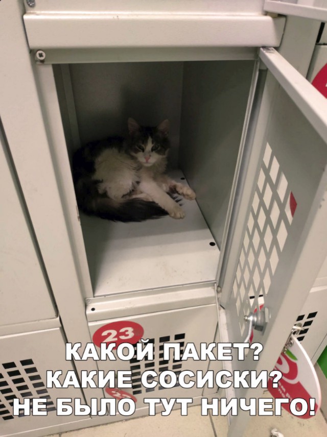 Нестандартный юмор