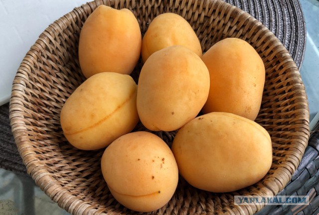 Кукурузные кексы. Без глютена.