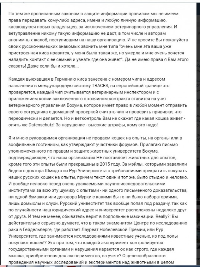 Помогите вернуть кота! Приют "Преданное сердце" украл кота и не отдает!-2