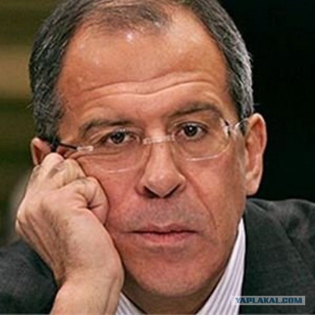 Зубы шакала взошли: полицейские Екатеринбурга задержали группу южан, грабивших студентов