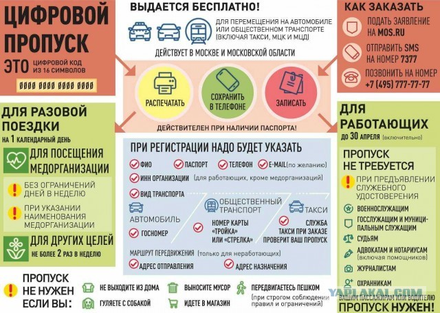 Водитель – о пропускной системе в Москве