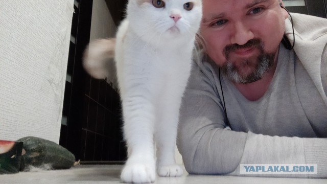 Моя красотка