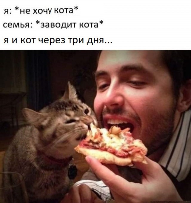 Картинки с надписями и всякие жизненные фразы