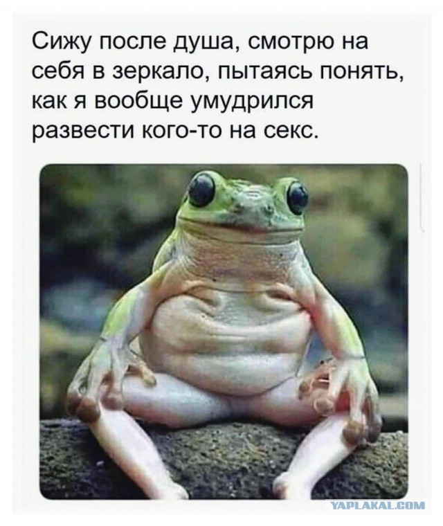 Мемы про секас #2