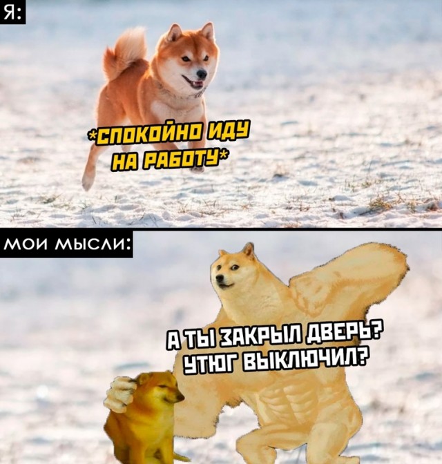Весёлый полтишок 11.03