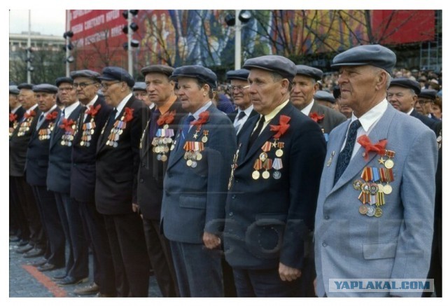 Почему все носят георгиевскую ленту неправильно