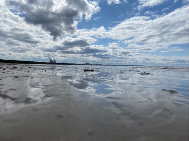 Живу в Сосновом Бору