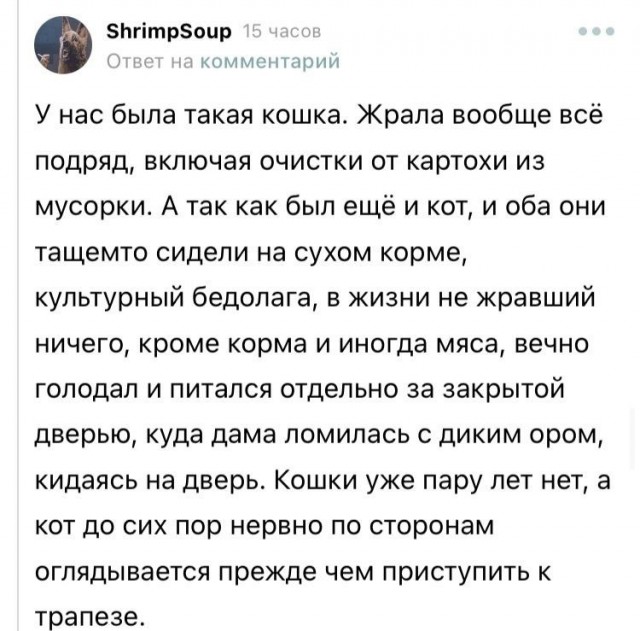 Веселые засранцы