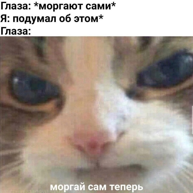 Юмор в картинках 22.08.21