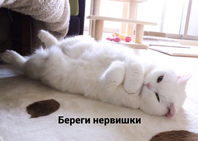 Вся боль мира в одном видео