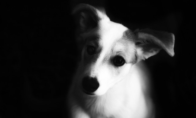 Моя мобильная фотография