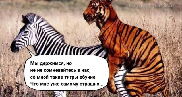 Говорящий подарок