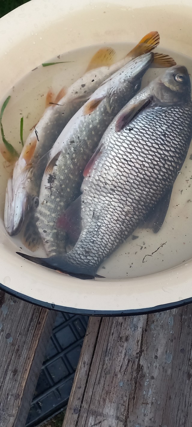 Рыбалки псто