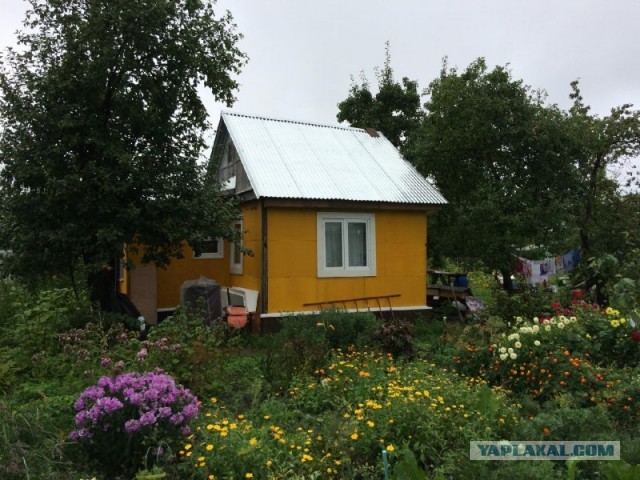 Дача. Необходимость или блажь?