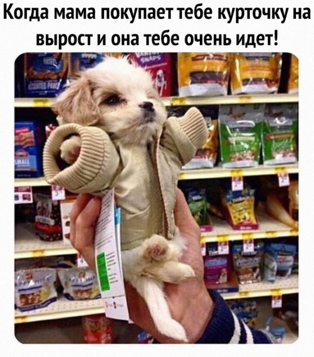 Немного картинок."Колбасный ветер". Август