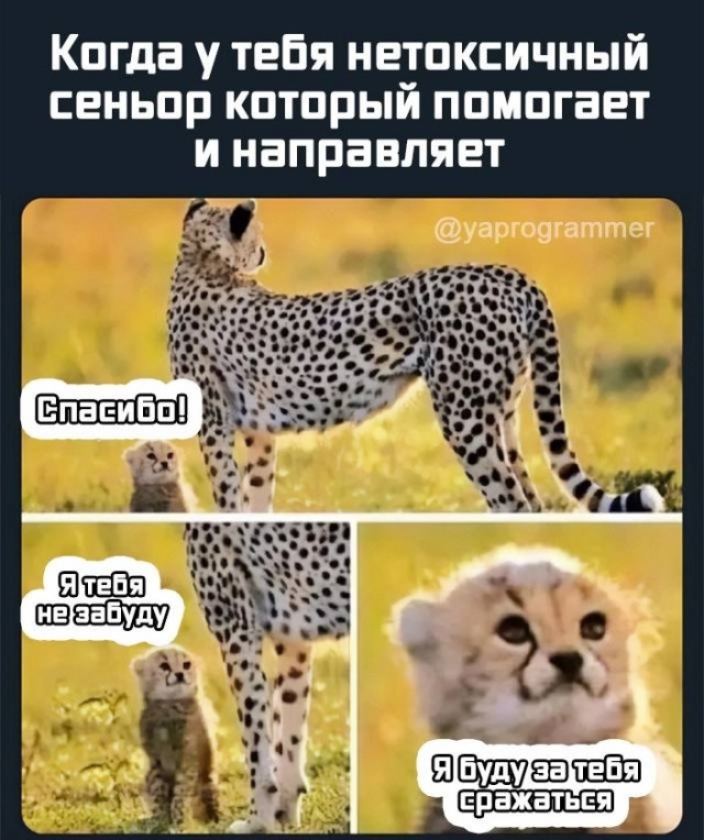 Немного мемчиков. Для взрослых. Часть 16
