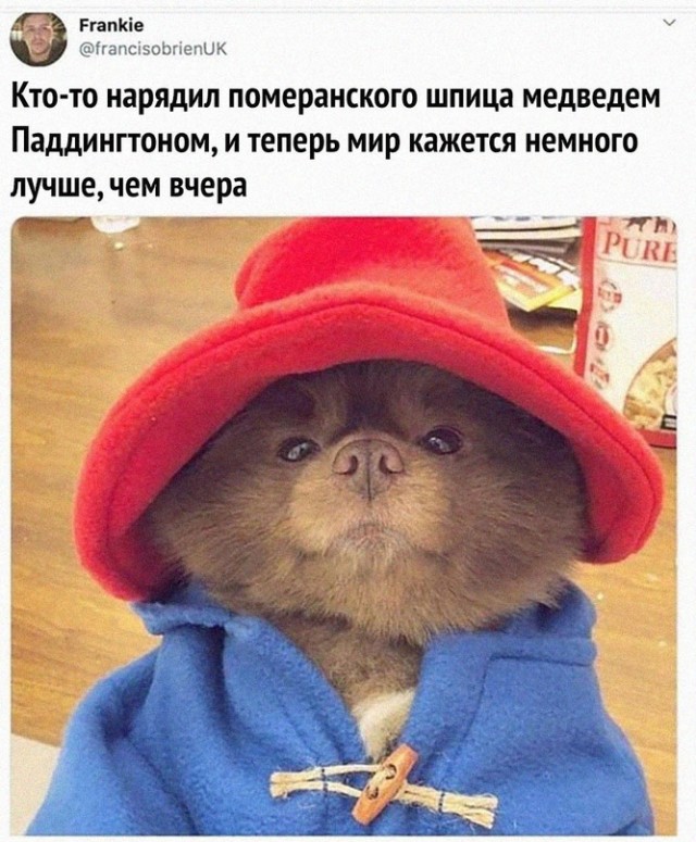 Картинки и мемы для настроения - 21