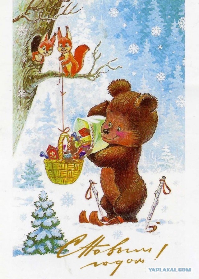 Прикольные и просто красивые картинки 25.12.2022