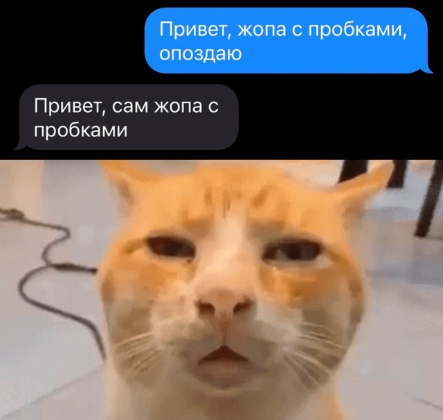 Немного картинок для настроения - 151