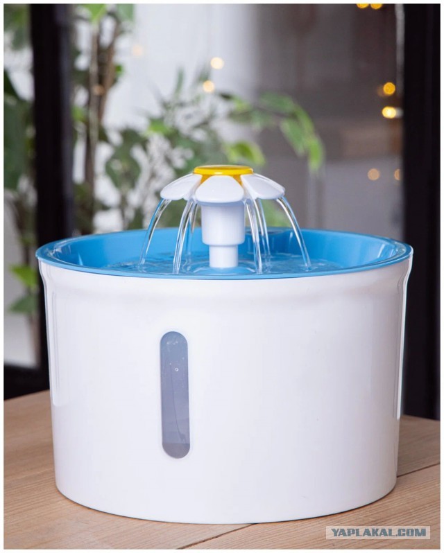 Семья катится под откос...