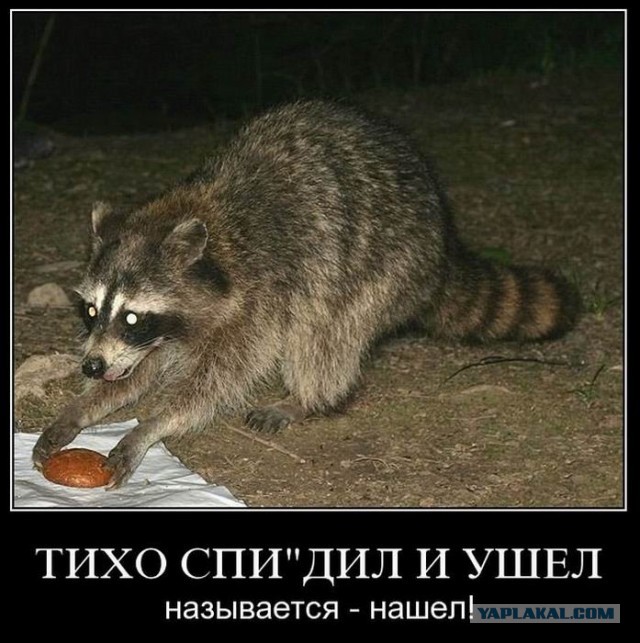Где то я это слышал…