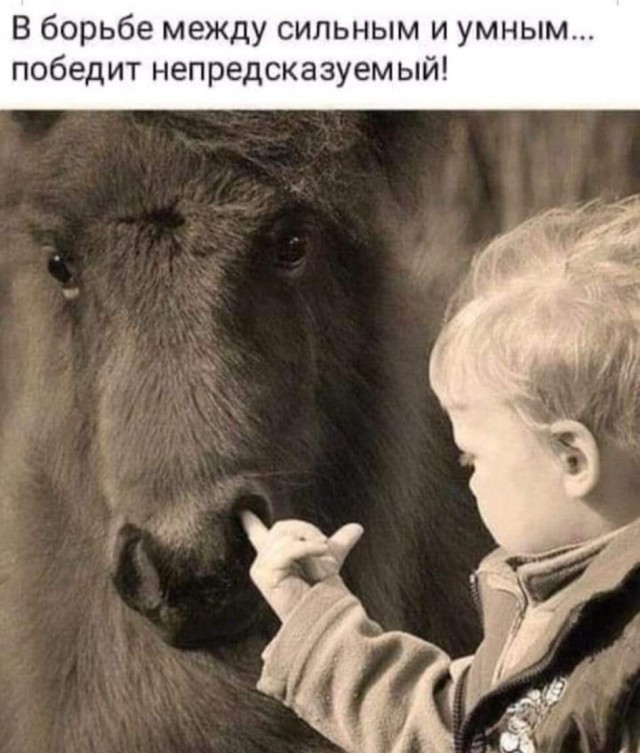 Картинки и тексты улыбательные